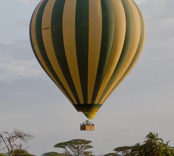 Balloon and Elephant