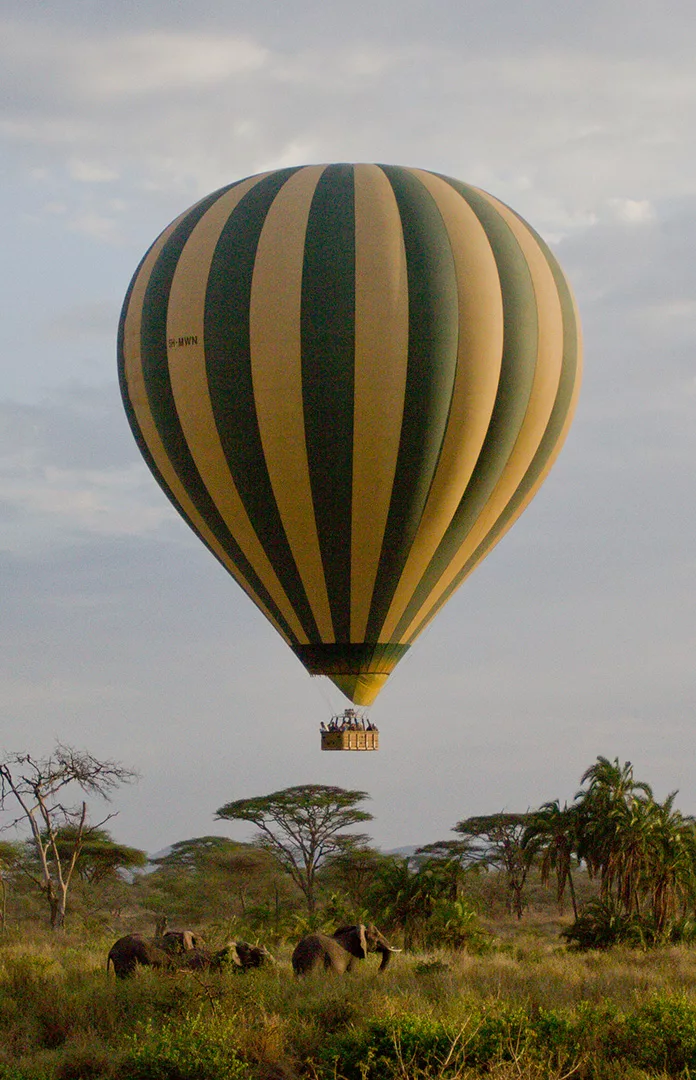 Balloon and Elephant