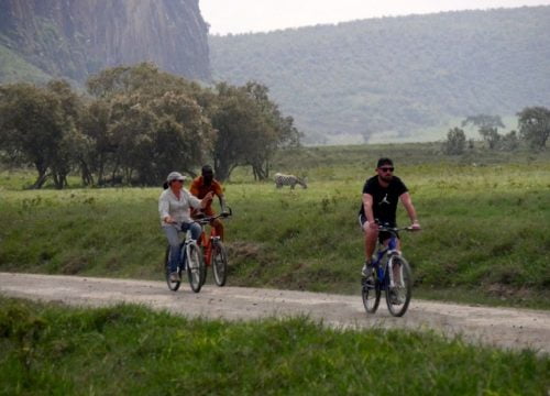 Rando VTT