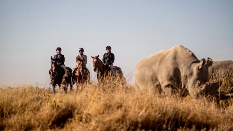 Più grande santuario dei rinoceronti dell’Africa orientale: Riding with Rhino