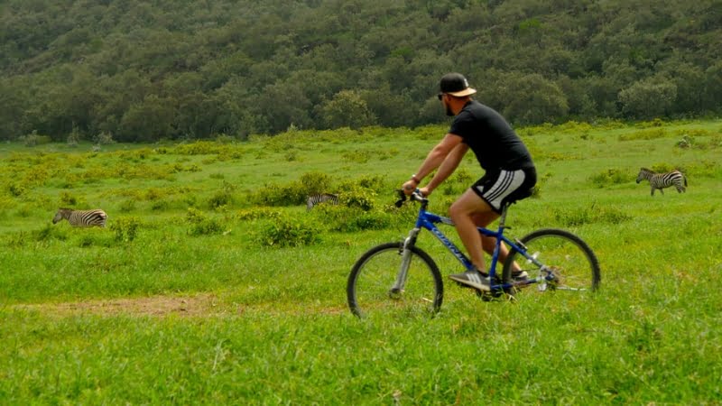 Safari in VTT