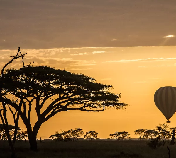 Serengeti Sunrise Balloon Silhouette