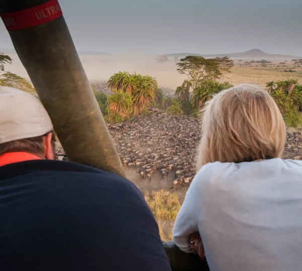 Viewing Wildebeest from Balloon