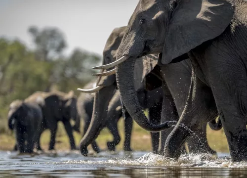 Che tempo fa in Kenya nel mese di aprile ?