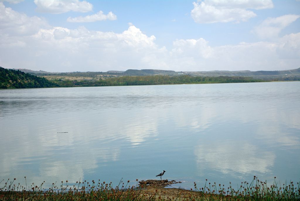 riva del lago di Eleimenteita