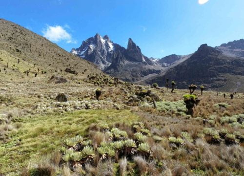 Quando fare la salita del Monte Kenya?