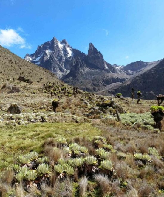 Trekking Monte Kenya