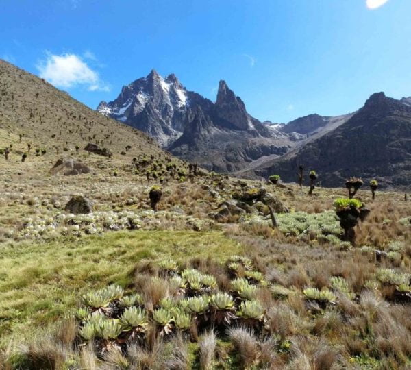 Trekking Monte Kenya