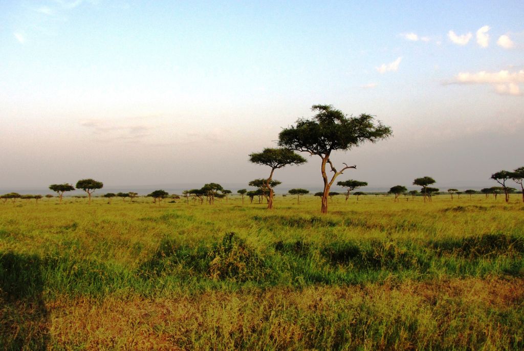 Narok