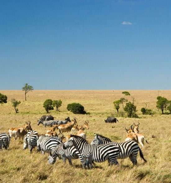 Masai Mara