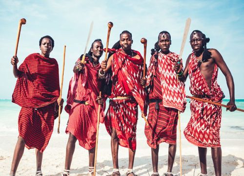 Safari in Terre Africane e Spiagge dell'Oceano Indiano