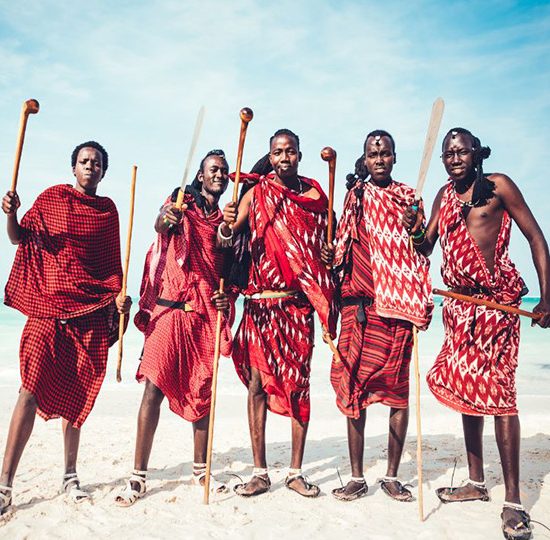Safari in Terre Africane e Spiagge dell'Oceano Indiano