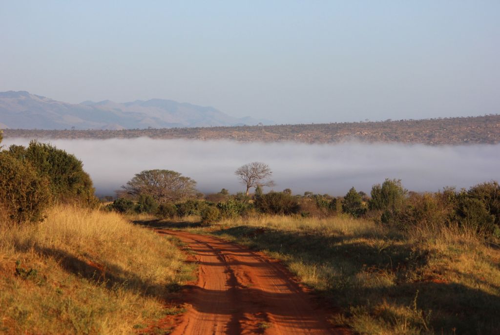 Parco Tsavo Kenya