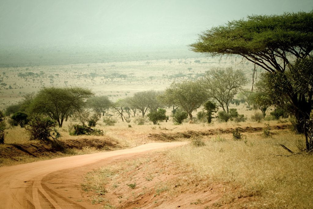 Parco Tsavo Kenya